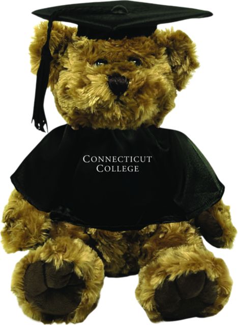 Connecticut College Graduation Bear